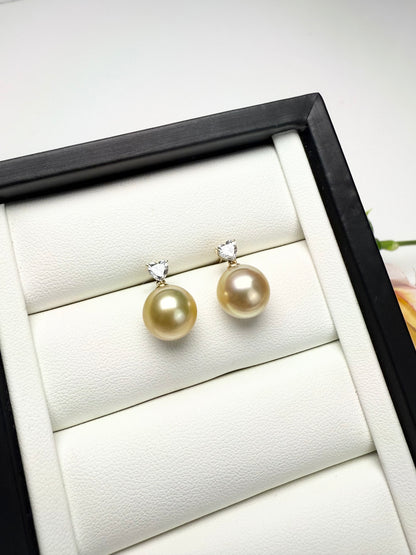 18K Solid Gold Golden South Sea Pearl Earrings | Timeless.
