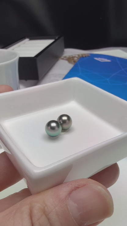 Exquisite Tahitian Peacock Green Pearl (9-9.5mm) Earrings